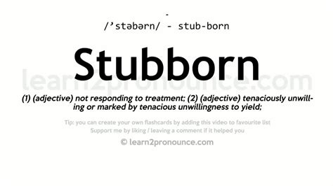 what is mean by stubborn